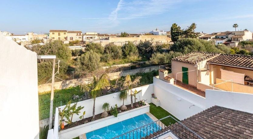 Photo of The Vines of Nature