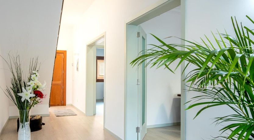 Photo of The Vines of Nature