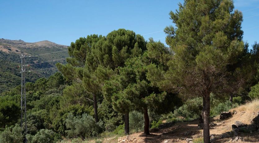 Photo of Relaxation Day