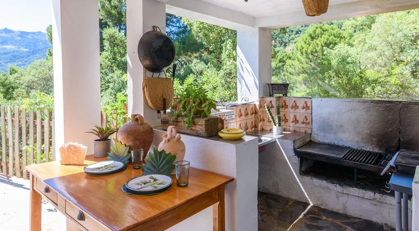 Photo of Peace, Sunshine & Pines