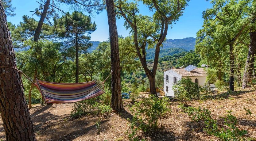 Photo of Peace, Sunshine & Pines