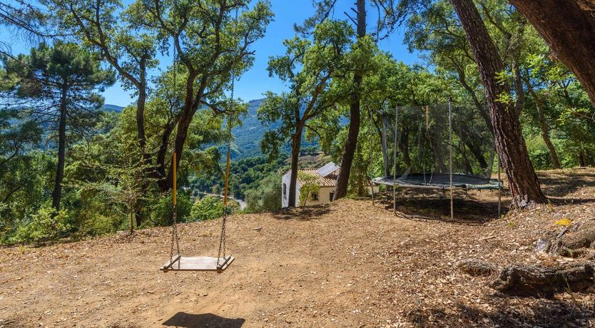 Photo of Peace, Sunshine & Pines