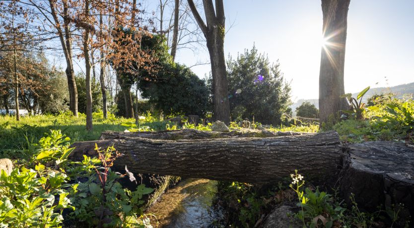 Photo of Modern Talking