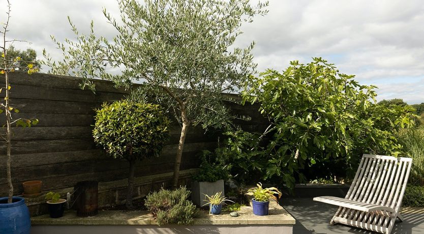 Photo of Heart of The Hills