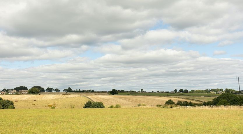 Photo of Heart of The Hills