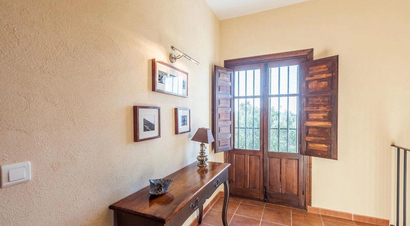 Photo of Gazing at the Horizon