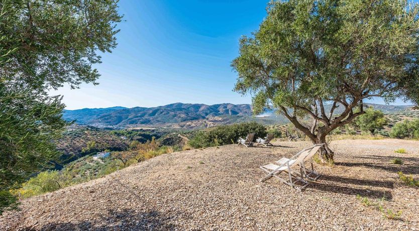 Photo of Gazing at the Horizon