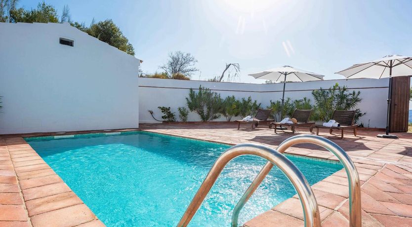 Photo of Gazing at the Horizon