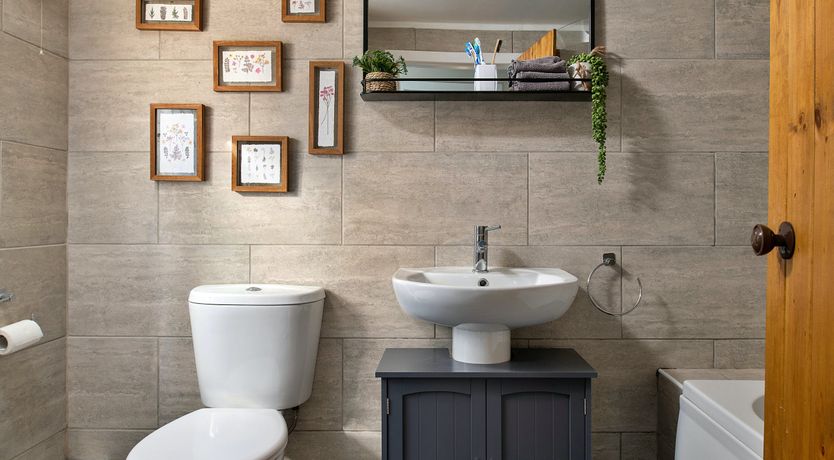 Photo of Paths to Dawn