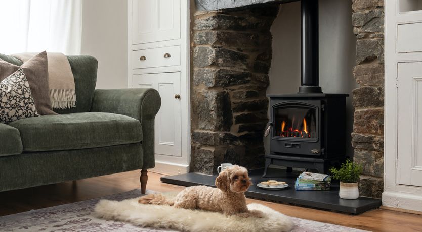 Photo of Paths to Dawn