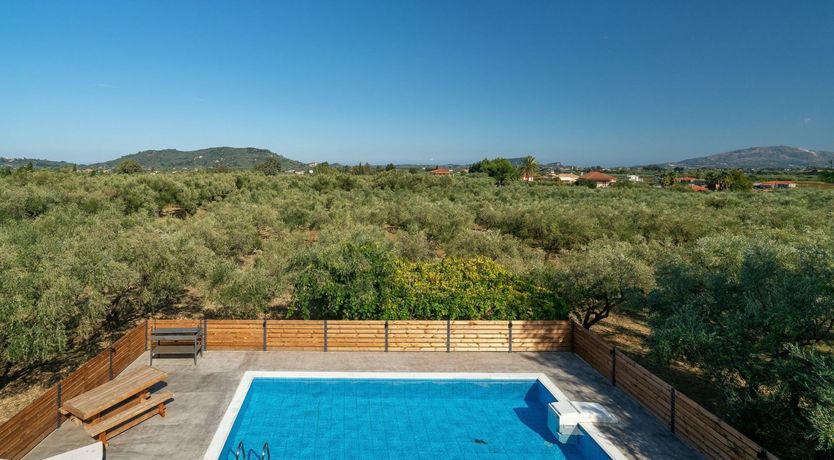 Photo of Sun-Hued Harmony