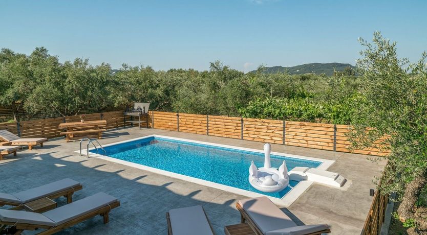 Photo of Sun-Hued Harmony