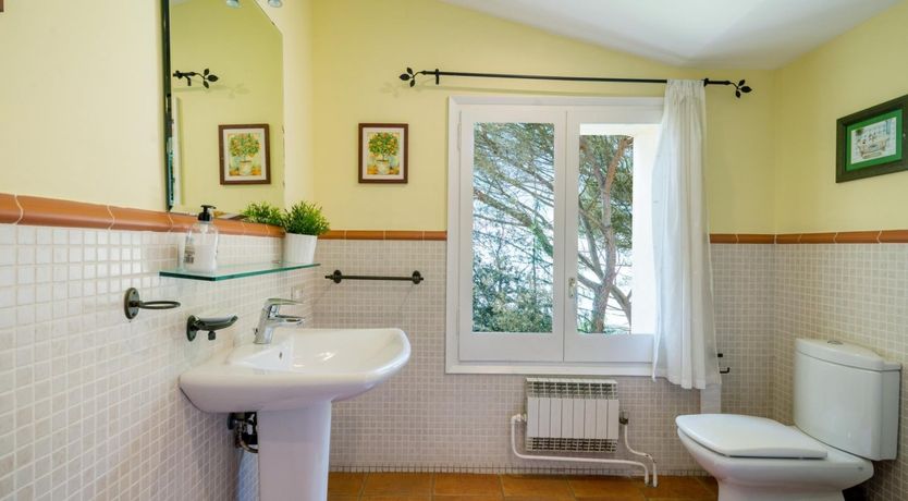 Photo of The Green, The Serene