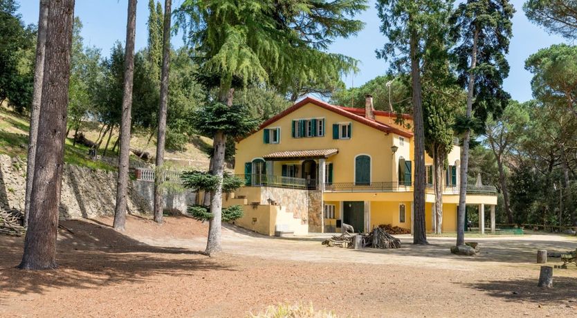 Photo of The Green, The Serene