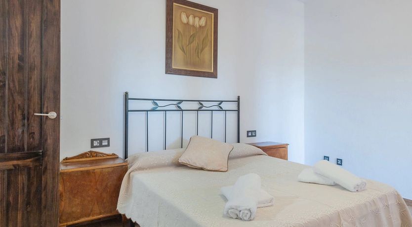 Photo of A Golden Glimpse