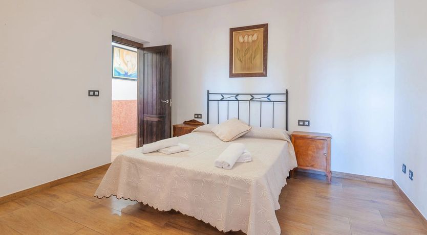 Photo of A Golden Glimpse