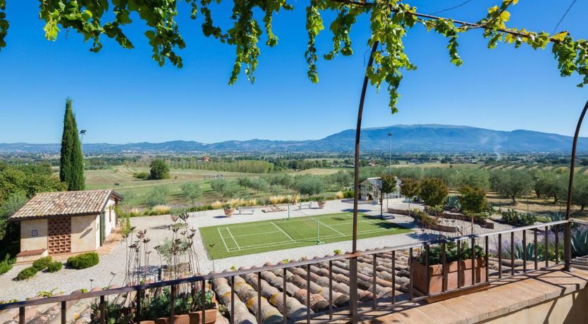 Photo of Tangerine Tree