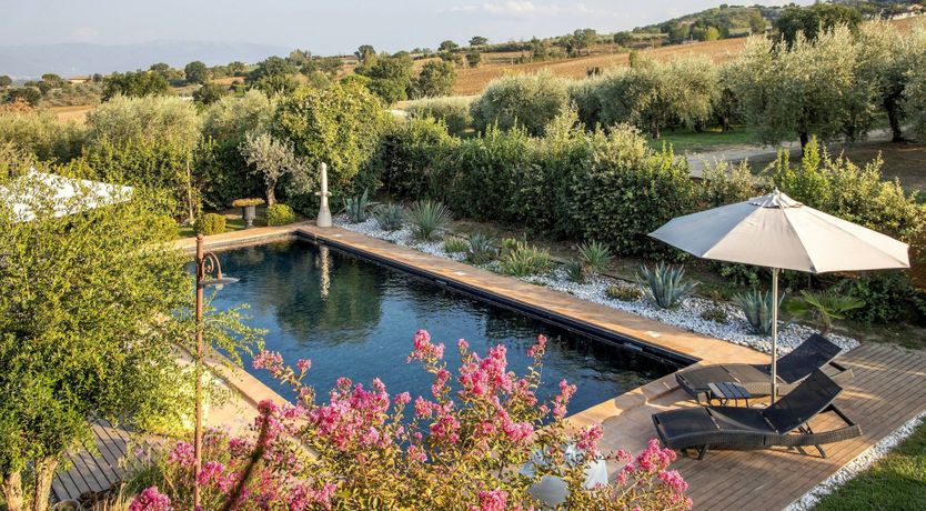 Photo of Tangerine Tree