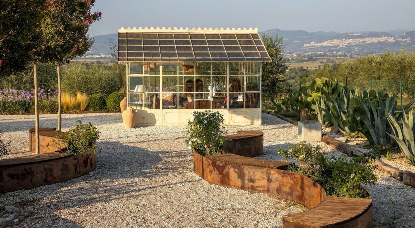 Photo of Tangerine Tree