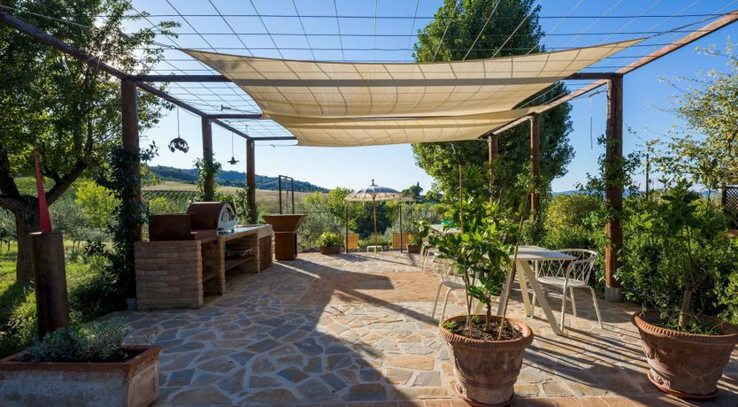 Photo of Tangerine Tree