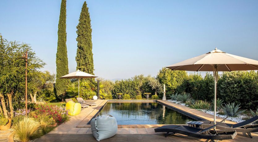 Photo of Tangerine Tree