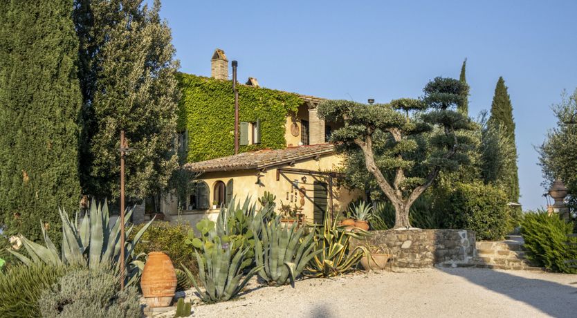 Photo of Tangerine Tree