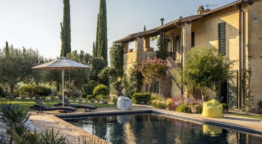 Photo of Tangerine Tree