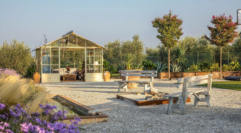 Photo of Tangerine Tree