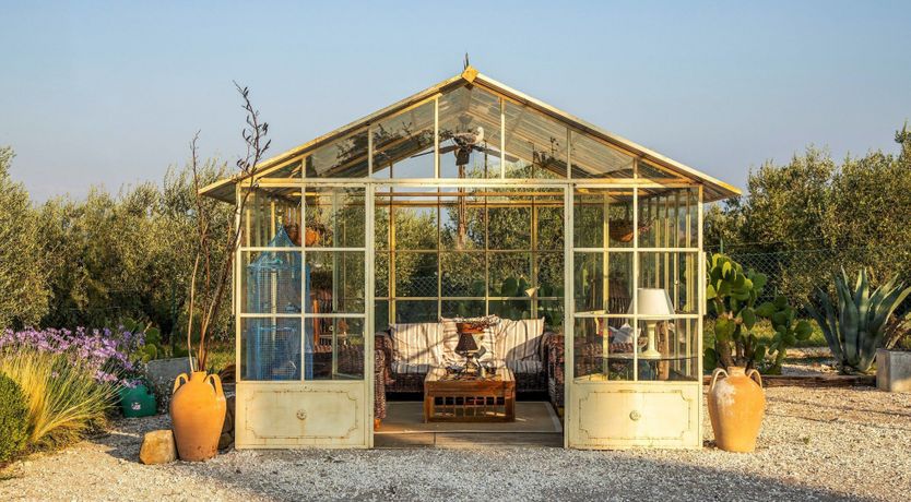 Photo of Tangerine Tree