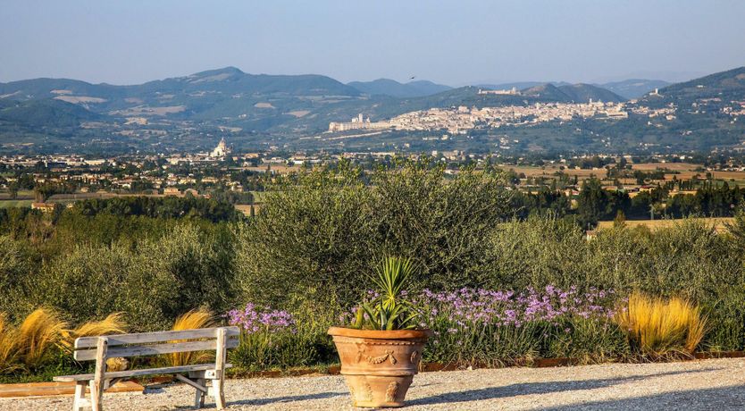 Photo of Tangerine Tree