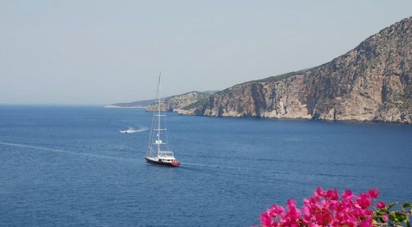 Photo of Scented Watermelon