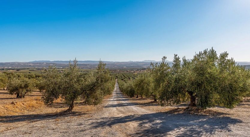 Photo of Azul Azulejo