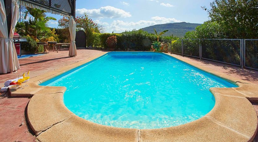 Photo of Orange Petal