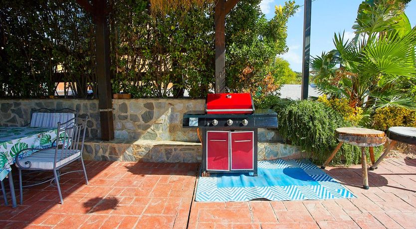 Photo of Orange Petal