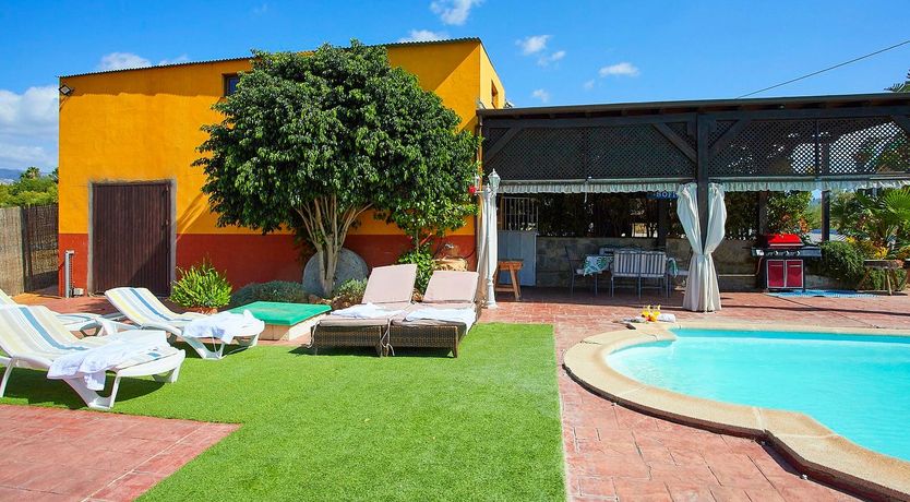 Photo of Orange Petal