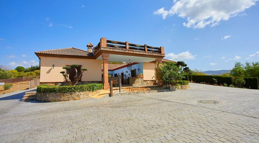 Photo of Orange Petal