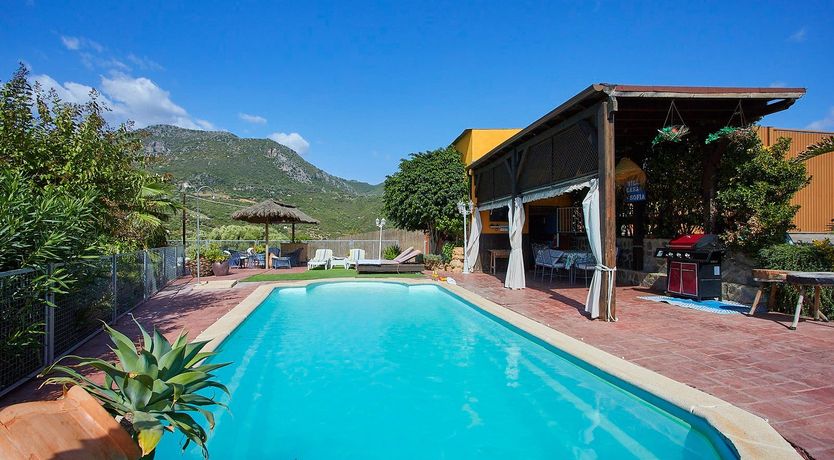 Photo of Orange Petal