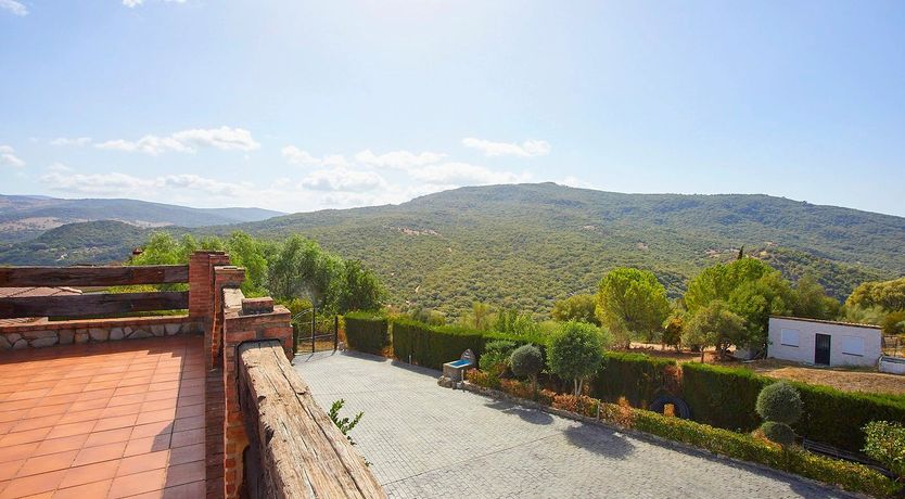 Photo of Orange Petal