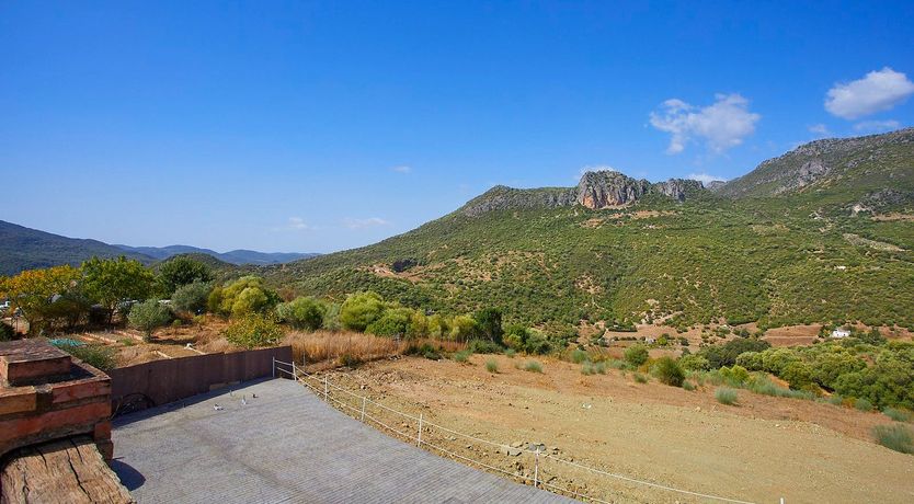 Photo of Orange Petal