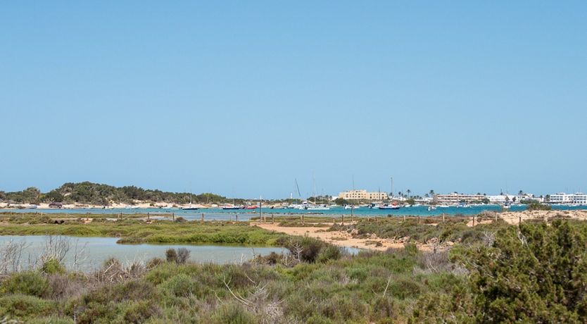 Photo of Catching The Light