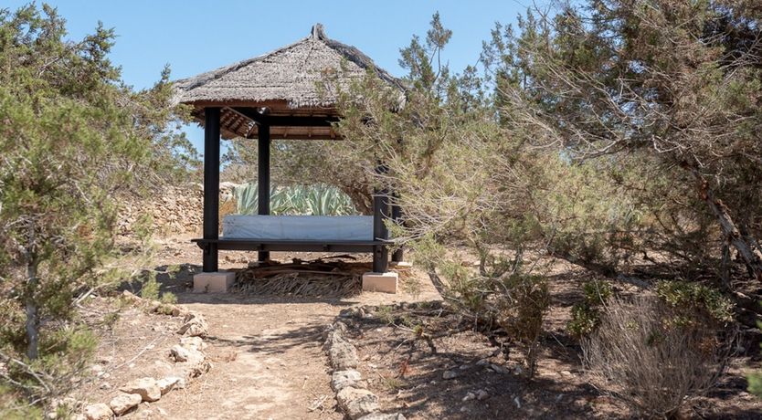 Photo of Catching The Light