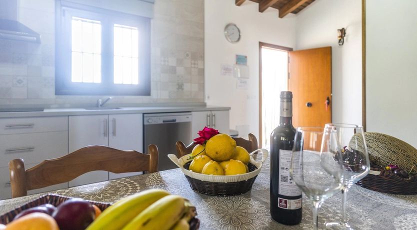 Photo of More Than a Dream