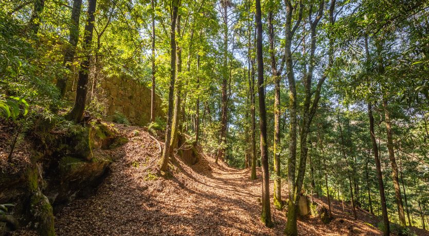 Photo of House of Prospect