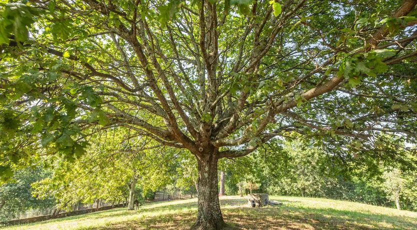 Photo of House of Prospect