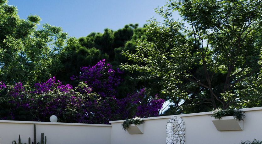 Photo of Blue Amethyst