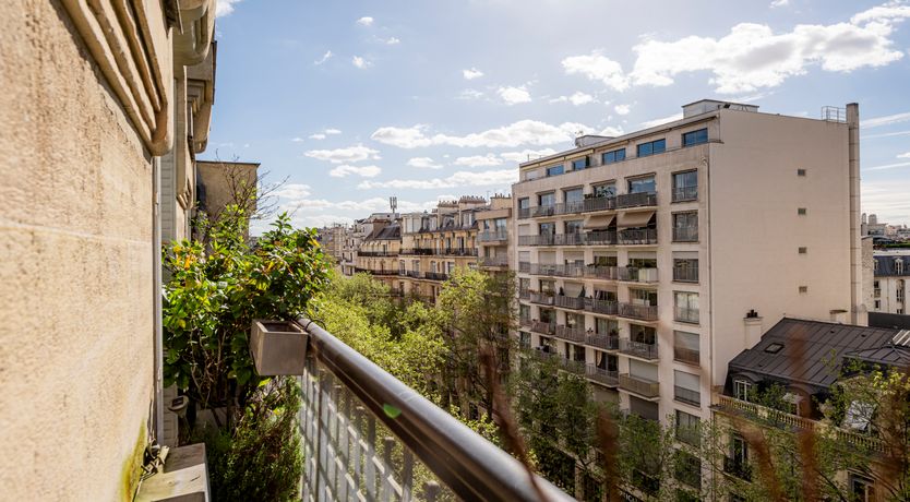 Photo of Monkey & Palme