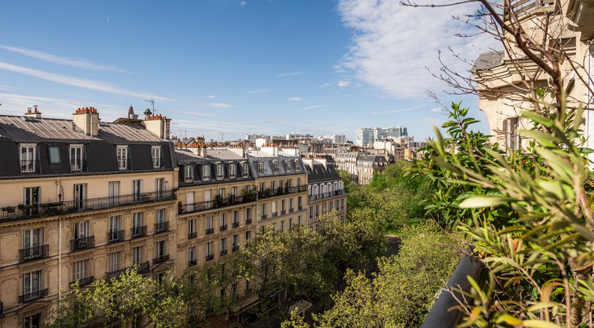 Photo of Monkey & Palme