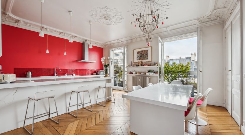 Photo of Monkey & Palme