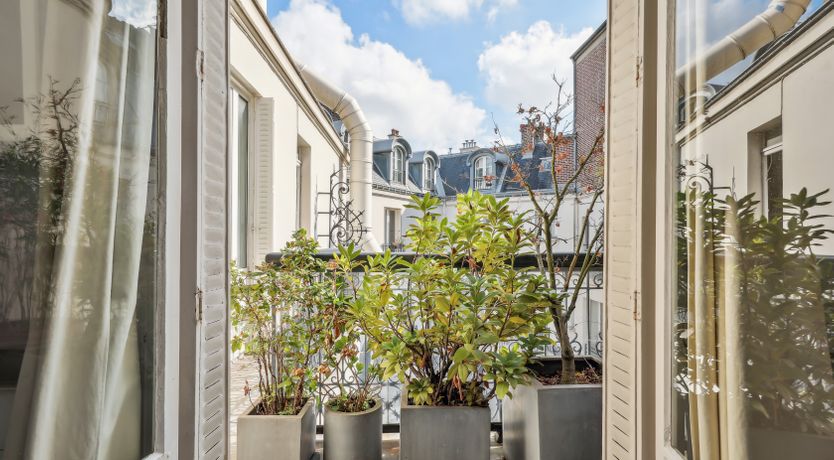 Photo of Monkey & Palme