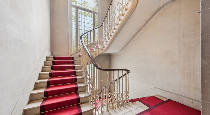 Photo of Monkey & Palme